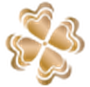 NOWARA logo